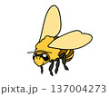 蜂 137004273