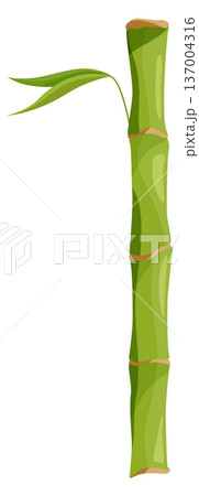 Bamboo branch. Cartoon green tree. Asian botany Bamboo branch. Cartoon green tree. Asian botany 137004316
