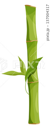 Tropical greenery stem. Cartoon floral bamboo tree 137004317