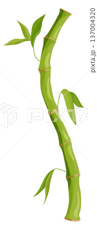 Curved bamboo stem. Exotic asian tree element Curved bamboo stem. Exotic asian tree element 137004320