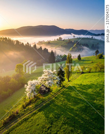 majestic sunset in the mountains landscape 137004375