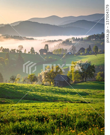 hills with fog in morning mist hills with fog in morning mist 137004379