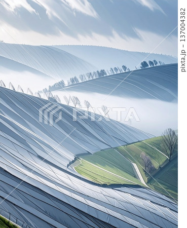tea plantation in the morning tea plantation in the morning 137004382