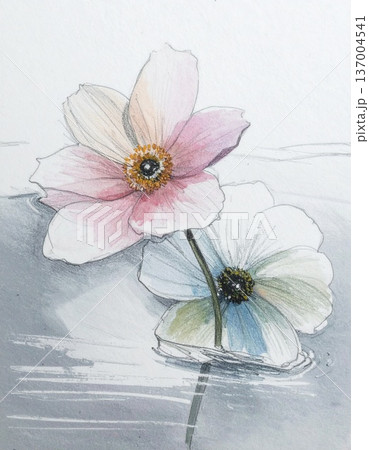 flowers in a vase flowers in a vase 137004541