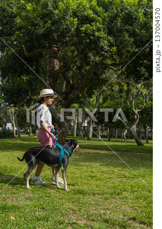 A young girl is walking her dog in a park 137004570