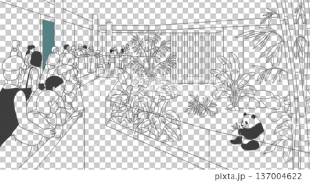 熊貓館、動物園遊客、熊貓吃竹子的插畫素材，線畫，熱帶植物，背景素材 137004622