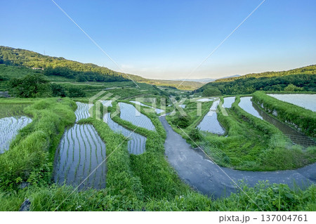 別府内成の棚田 137004761