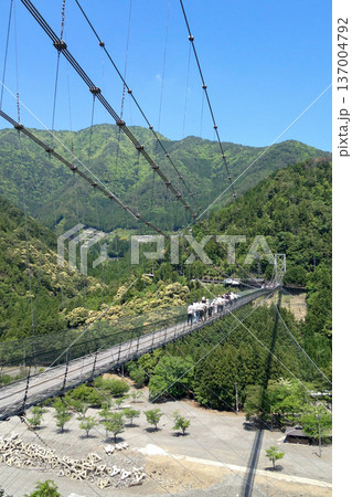 谷瀬の吊橋 谷瀬の吊橋 137004792