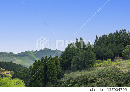 新緑の山の稜線 新緑の山の稜線 137004796