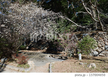 愛知県豊橋市　吉田城址・本丸井戸跡 137004850