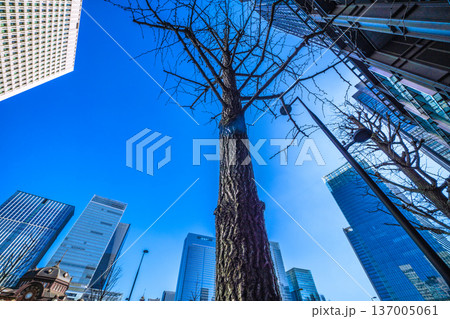 日本の東京都市景観憂鬱…日本経済の憂鬱。丸の内のビジネス街や八重洲のビル群などを望む 137005061