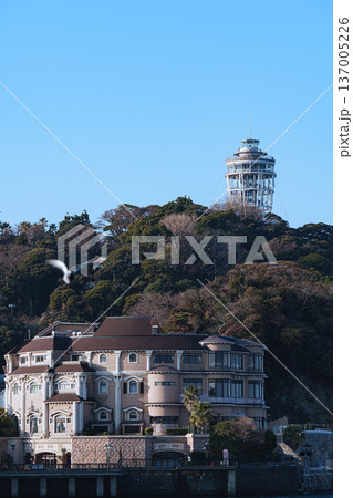 春を迎える江の島　早朝の江の島大橋からの光景 137005226