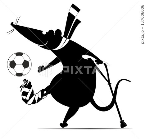 Injured rat or mouse plays football.  Funny rat or mouse with bandage on the foot and crutch beating football ball 137006006