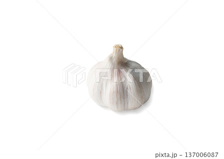 Single Organic Garlic Bulb Isolated on White - High Quality Food Ingredient Single Organic Garlic Bulb Isolated on White - High Quality Food Ingredient 137006087