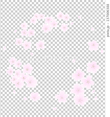 手描き風の桜の丸フレーム 手描き風の桜の丸フレーム 137006388