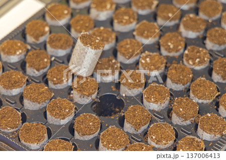 Seed Planting Starting Tray Seed Planting Starting Tray 137006413