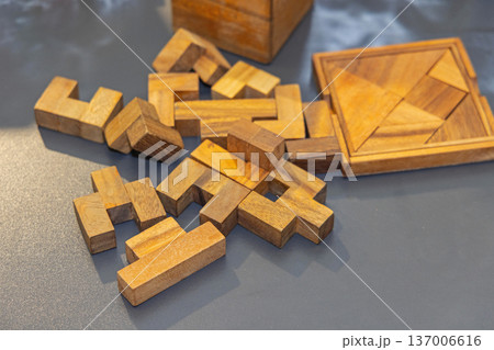 Wooden Jigsaw Puzzle Game 137006616