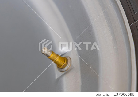 Brass Tyre Valve Stem Brass Tyre Valve Stem 137006699