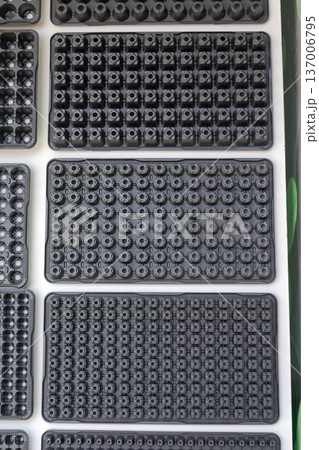 Plants Seedling Growing Trays 137006795