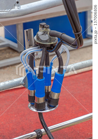 Farm Cow Milking Machine Farm Cow Milking Machine 137006806