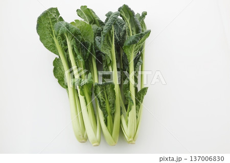 ターサイ 137006830