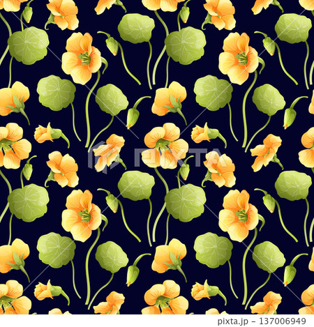 Seamless floral pattern with yellow nasturtium flowers and green leaves on dark background. Botanical vector illustration for textile and wallpaper design. 137006949