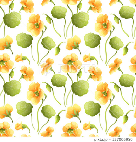 Seamless floral pattern with yellow nasturtium flowers and green leaves on white background. Botanical vector illustration for textile and wallpaper design. 137006950
