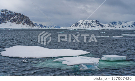 Drift floating Ice, Arctic Drift floating Ice, Arctic 137007420