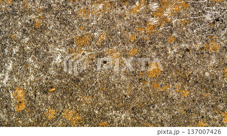 Wall Surface Background 137007426