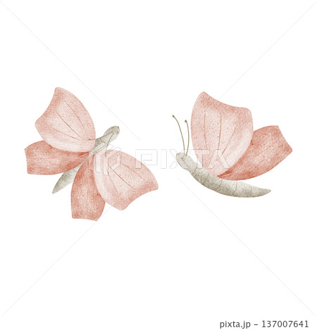 Pink butterflies. Watercolor illustration in childish style. Spring-inspired hand-drawn illustration, isolated on background for baby shower designs, holiday cards, posters, tableware, clothing, decor 137007641