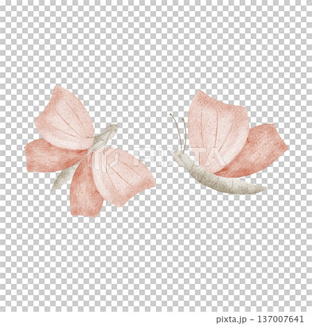 Pink butterflies. Watercolor illustration in childish style. Spring-inspired hand-drawn illustration, isolated on background for baby shower designs, holiday cards, posters, tableware, clothing, decor 137007641