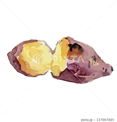 水彩風の焼き芋・さつまいものイラスト 137007885