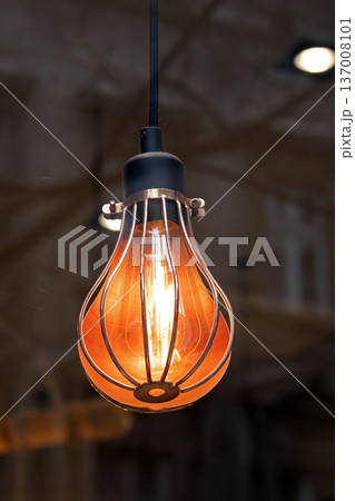 Decorative light bulb in metal net 137008101