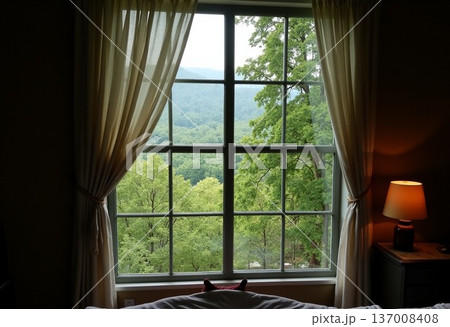 自然の中にある建物の窓から見た景色 137008408