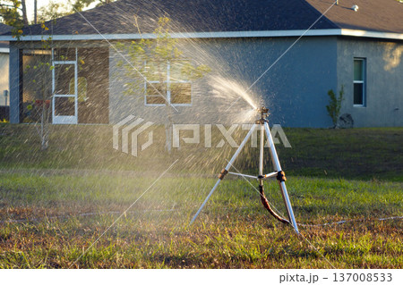 Sprinkler watering lawn grass during dry season Sprinkler watering lawn grass during dry season 137008533