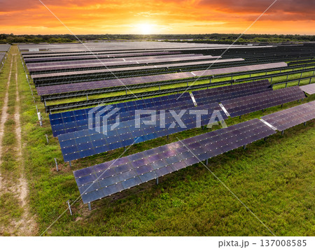 Renewable electricity with zero emission. Sustainable electric power plant with many rows of solar photovoltaic panels for producing clean electrical energy 137008585