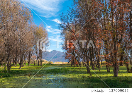 Erhai Lake Landscape With Autumn Colors And Natural Beauty. Erhai Lake Landscape With Autumn Colors And Natural Beauty. 137009035