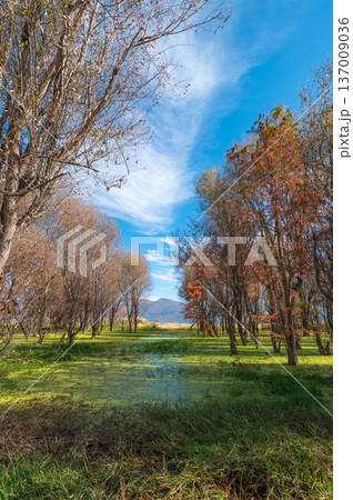 Erhai Lake Landscape With Autumn Colors And Natural Beauty. 137009036