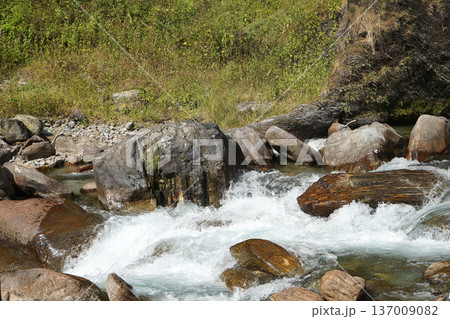 Refreshing mountain stream flowing through large mossy rocks in a lush wilderness Refreshing mountain stream flowing through large mossy rocks in a lush wilderness 137009082