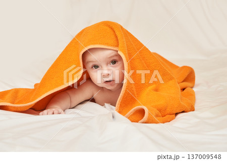 Caucasian Baby Wrapped In Orange Towel On White Bed Expressing Curiosity And Warmth Caucasian Baby Wrapped In Orange Towel On White Bed Expressing Curiosity And Warmth 137009548