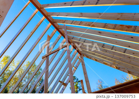 Wooden beams frame building under joists roofing with during construction work. 137009753