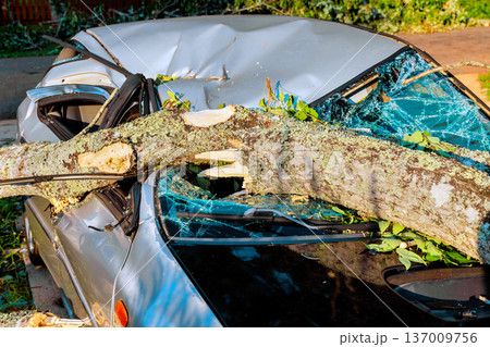 Large tree branch has fallen on parked car, causing damage to roof, windows after storm passed through. Large tree branch has fallen on parked car, causing damage to roof, windows after storm passed through. 137009756