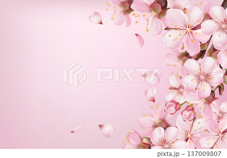 Pink Sakura Blossom Background with Bokeh Pink Sakura Blossom Background with Bokeh 137009807