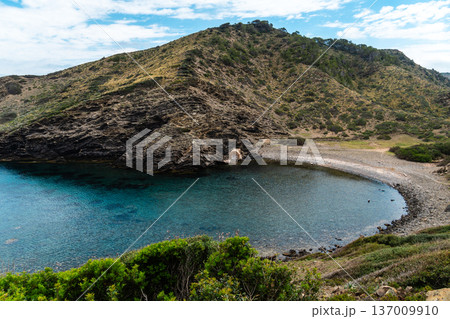 Scenic view of a secluded cove in Menorca with crystal clear waters and lush greenery. Scenic view of a secluded cove in Menorca with crystal clear waters and lush greenery. 137009910