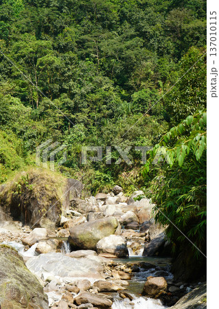 Serene Tropical River Flowing Through Lush Green Forest and Large Boulders Serene Tropical River Flowing Through Lush Green Forest and Large Boulders 137010115