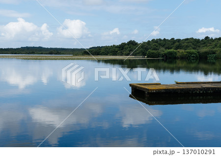 Lake of Soustons reflecting a cloudy sky and wooden docks Lake of Soustons reflecting a cloudy sky and wooden docks 137010291