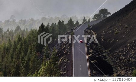 Tenerife, Canary Islands: Red car driving winding mountain road through a volcanic landscape and pine forest near Mount Teide. Travel background, discovery beautiful nature. Aerial static 137010404