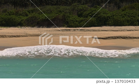 Lombok: Pantai Tomang Omang beach showing turquoise ocean waves gently breaking on the golden sand, with lush green vegetation and palm trees lining the distant shore. Tropical travel background 137010433
