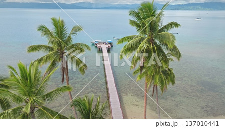 Aerial view showing a long wooden pier with boats docked at the end, extending into clear turquoise ocean water, framed by lush green palm trees on a tropical beach in Savusavu, Fiji 137010441