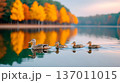 A serene scene of a mother duck and her ducklings swimming gracefully on a tranquil lake, surrounded by vibrant autumn trees reflecting in the water. 137011015